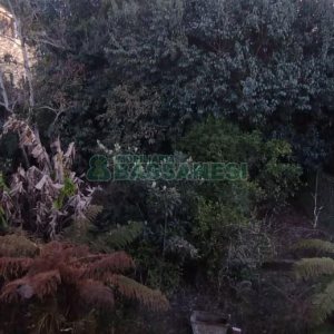 Casa com 242m², 3 dormitórios, 2 vagas, no bairro Forqueta em Caxias do Sul para Comprar