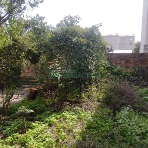 Casa com 120m², 3 dormitórios, 1 vaga, no bairro São Pelegrino em Caxias do Sul para Comprar