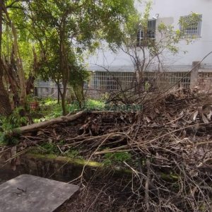 Casa com 120m², 3 dormitórios, 1 vaga, no bairro São Pelegrino em Caxias do Sul para Comprar