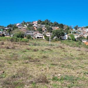 Terreno com 319m², no bairro Oriental em Caxias do Sul para Comprar