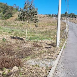 Terreno, no bairro Oriental em Caxias do Sul para Comprar