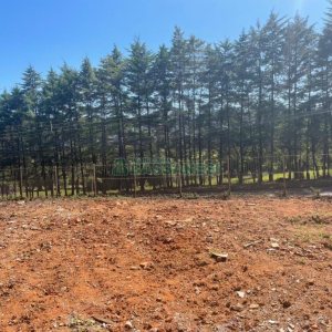 Terreno com 355m², no bairro Colina Sorriso em Caxias do Sul para Comprar