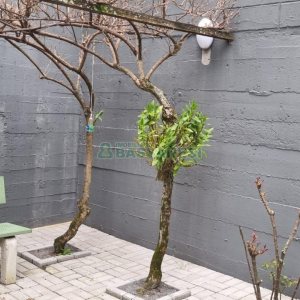 Apartamento com 101m², 2 dormitórios, 1 vaga, no bairro Centro em Caxias do Sul para Comprar