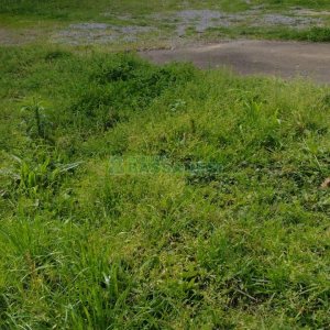 Terreno com 880m², no bairro Pio X em Caxias do Sul para Comprar