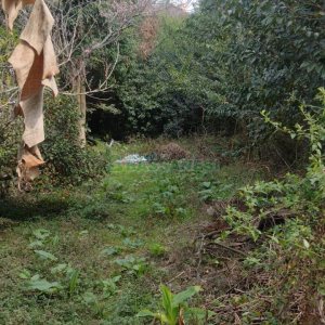 Terreno com 880m², no bairro Pio X em Caxias do Sul para Comprar