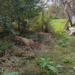 Terreno com 880m², no bairro Pio X em Caxias do Sul para Comprar