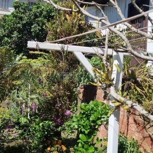 Casa com 100m², 3 dormitórios, 1 vaga, no bairro Centro em Caxias do Sul para Comprar