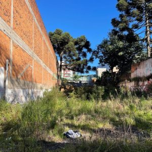 Terreno, no bairro Rio Branco em Caxias do Sul para Comprar