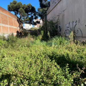 Terreno, no bairro Rio Branco em Caxias do Sul para Comprar
