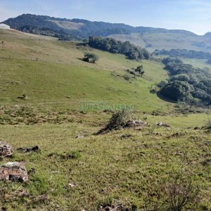 Chácara, no bairro Apanhador em Caxias do Sul para Comprar