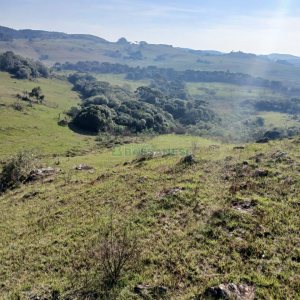 Chácara, no bairro Apanhador em Caxias do Sul para Comprar