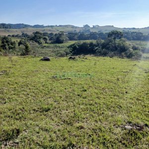 Chácara, no bairro Apanhador em Caxias do Sul para Comprar