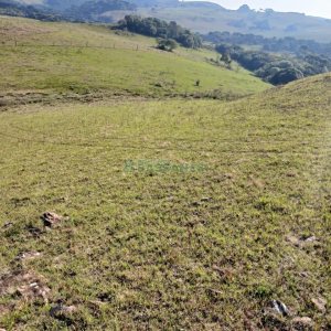 Chácara, no bairro Apanhador em Caxias do Sul para Comprar