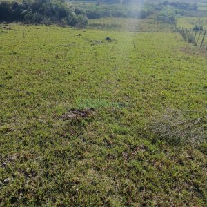 Chácara, no bairro Apanhador em Caxias do Sul para Comprar