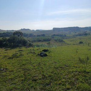 Chácara, no bairro Apanhador em Caxias do Sul para Comprar