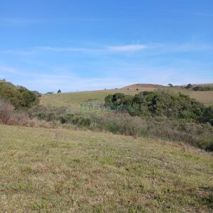 Chácara, no bairro Apanhador em Caxias do Sul para Comprar
