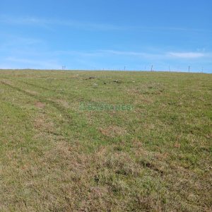 Chácara, no bairro Apanhador em Caxias do Sul para Comprar