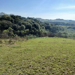 Chácara, no bairro Apanhador em Caxias do Sul para Comprar