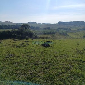 Chácara, no bairro Apanhador em Caxias do Sul para Comprar