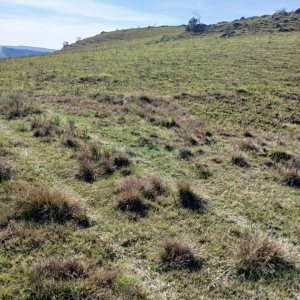 Chácara, no bairro Apanhador em Caxias do Sul para Comprar