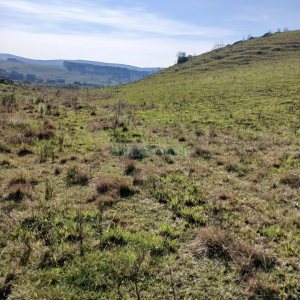 Chácara, no bairro Apanhador em Caxias do Sul para Comprar