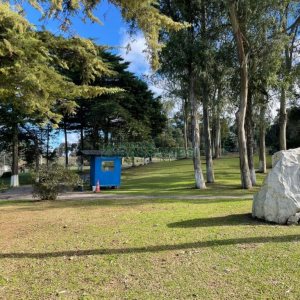 Chácara com 1200m², no bairro 3 Legua em Caxias do Sul para Comprar