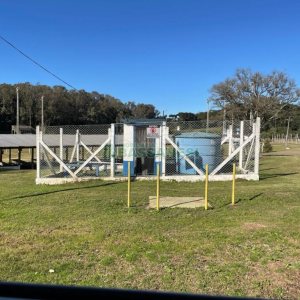 Chácara com 1200m², no bairro 3 Legua em Caxias do Sul para Comprar