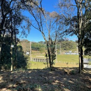 Chácara com 1200m², no bairro 3 Legua em Caxias do Sul para Comprar