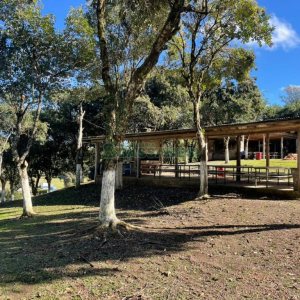 Chácara com 1200m², no bairro 3 Legua em Caxias do Sul para Comprar