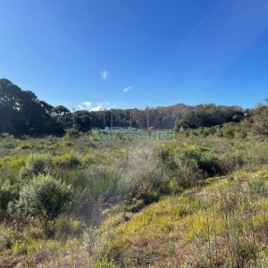 Chácara com 1200m², no bairro 3 Legua em Caxias do Sul para Comprar