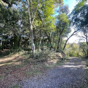 Chácara com 1200m², no bairro 3 Legua em Caxias do Sul para Comprar