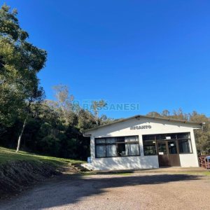 Chácara com 1200m², no bairro 3 Legua em Caxias do Sul para Comprar