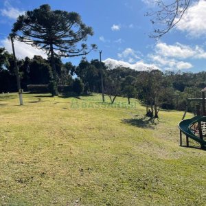 Chácara com 1200m², no bairro 3 Legua em Caxias do Sul para Comprar