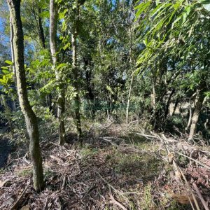 Chácara com 1200m², no bairro 3 Legua em Caxias do Sul para Comprar