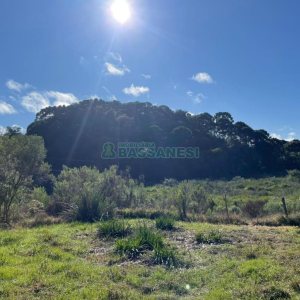 Chácara com 1200m², no bairro 3 Legua em Caxias do Sul para Comprar