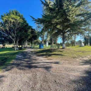 Chácara com 1200m², no bairro 3 Legua em Caxias do Sul para Comprar