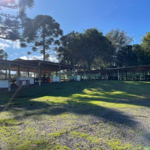 Chácara com 1200m², no bairro 3 Legua em Caxias do Sul para Comprar