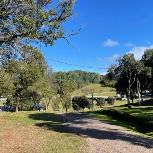 Chácara com 1200m², no bairro 3 Legua em Caxias do Sul para Comprar