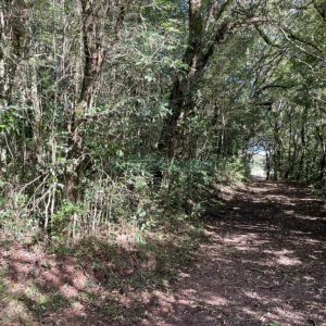 Chácara com 1200m², no bairro 3 Legua em Caxias do Sul para Comprar