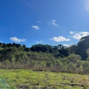 Chácara com 1200m², no bairro 3 Legua em Caxias do Sul para Comprar