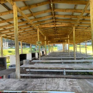 Chácara com 1200m², no bairro 3 Legua em Caxias do Sul para Comprar