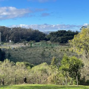 Chácara com 1200m², no bairro 3 Legua em Caxias do Sul para Comprar