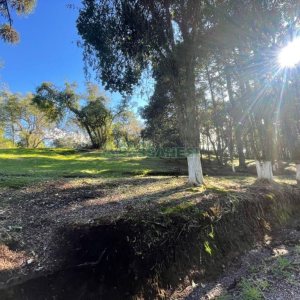 Chácara com 1200m², no bairro 3 Legua em Caxias do Sul para Comprar