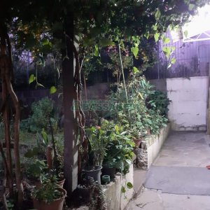 Casa com 340m², 3 dormitórios, 1 vaga, no bairro Centro em Caxias do Sul para Comprar