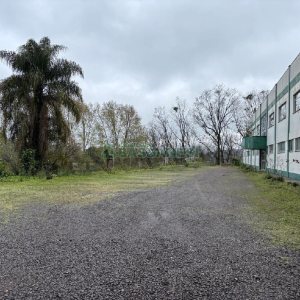 Pavilhão com 6000m², no bairro Santa Catarina em Caxias do Sul para Alugar