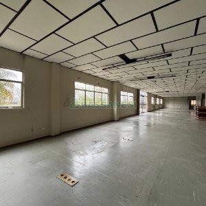Pavilhão com 6000m², no bairro Santa Catarina em Caxias do Sul para Alugar