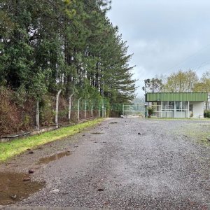 Pavilhão com 6000m², no bairro Santa Catarina em Caxias do Sul para Alugar