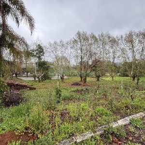 Pavilhão com 6000m², no bairro Santa Catarina em Caxias do Sul para Alugar