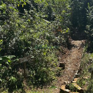 Chácara com 1600m², 3 dormitórios, no bairro 3 Legua em Caxias do Sul para Comprar