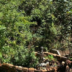 Chácara com 1600m², 3 dormitórios, no bairro 3 Legua em Caxias do Sul para Comprar